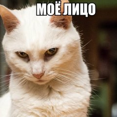 вавыа