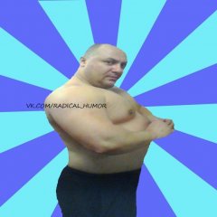 Жиробилдер