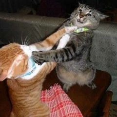 А