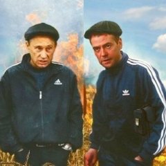 Быдло
