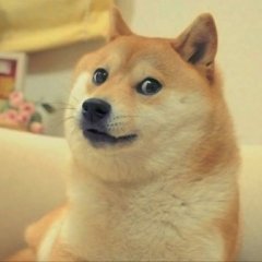 Доге