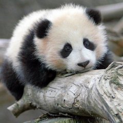 Когда Соня не приходит на дискот