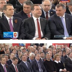 медвед