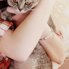 настин котэ