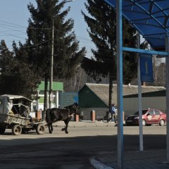 опа
