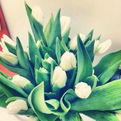 поп