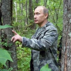 рол
