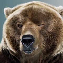 санкции