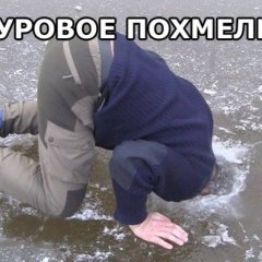 суровое