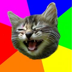 Веселый котан3