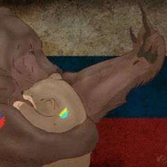 Ворона
