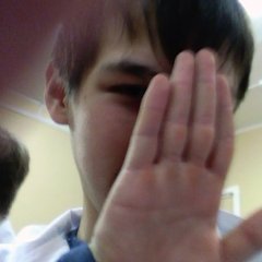 вук