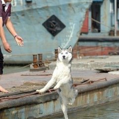 Я должен страдать хуйней