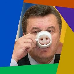 яник свин