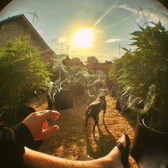 420
