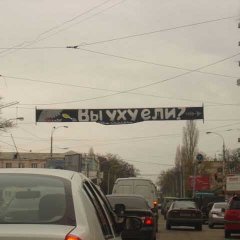 ели