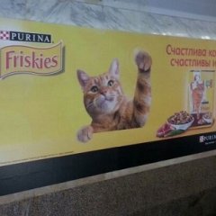 ФРИСКИС