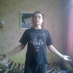 Ил