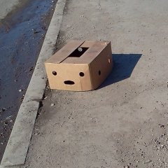 Коробочка