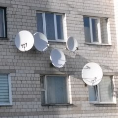 Нужно больше пропаганды