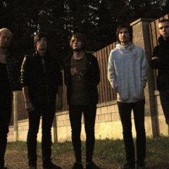 пвив