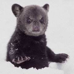 спокойно