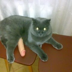 вв