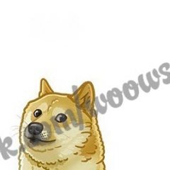 WoW dog