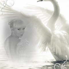 я