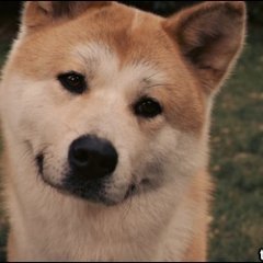 ыыыыыыыыы