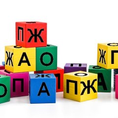 жопа