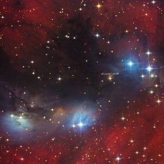 Злая Девица Космос