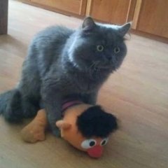 а