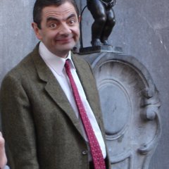Бин