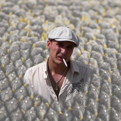 брутальний толян