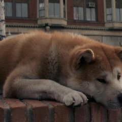 Хатико