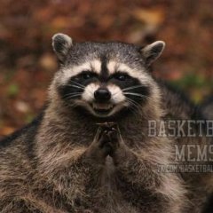 Хитрый Енот Basketball Mems