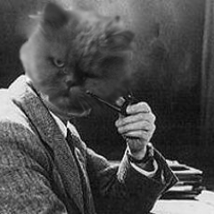 KOT