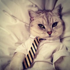 КотеХи