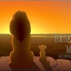 Lion King Basketball Mems