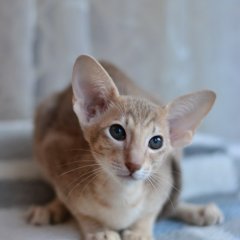 ьлолололо