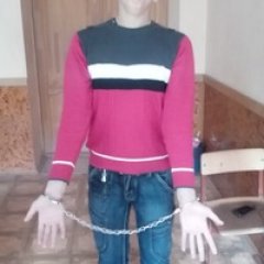 мемы