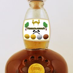 НавальнинкА