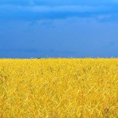 Прапор Украни