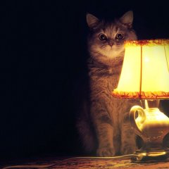 пришло время