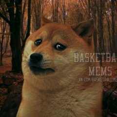 Собака Basletball Mems