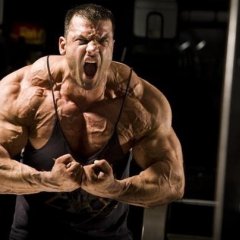 Железная Россия