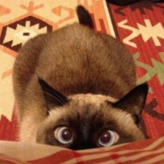 а чо