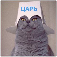 Ахуевшая персонА