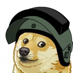 д